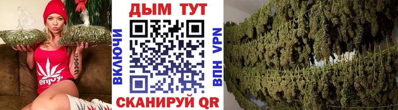 Alpha PVP Шенкурск