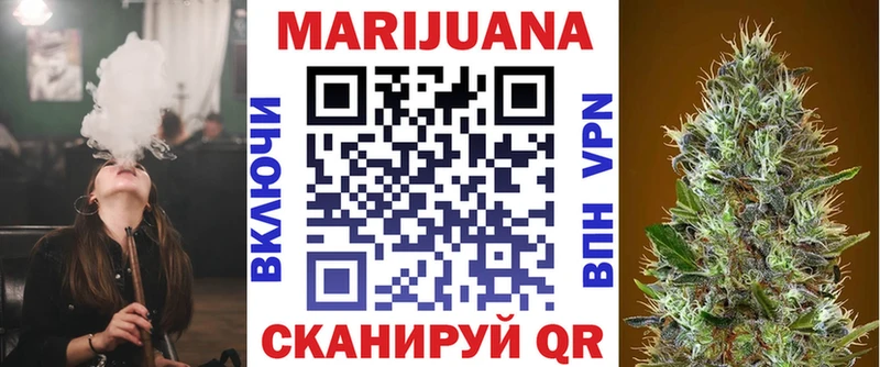 Где купить Шенкурск Канабис  Меф  Кокаин  Alpha-PVP  ГАШИШ 