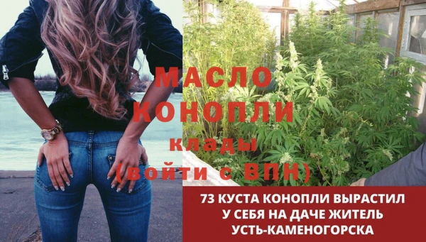 МДПВ Абаза
